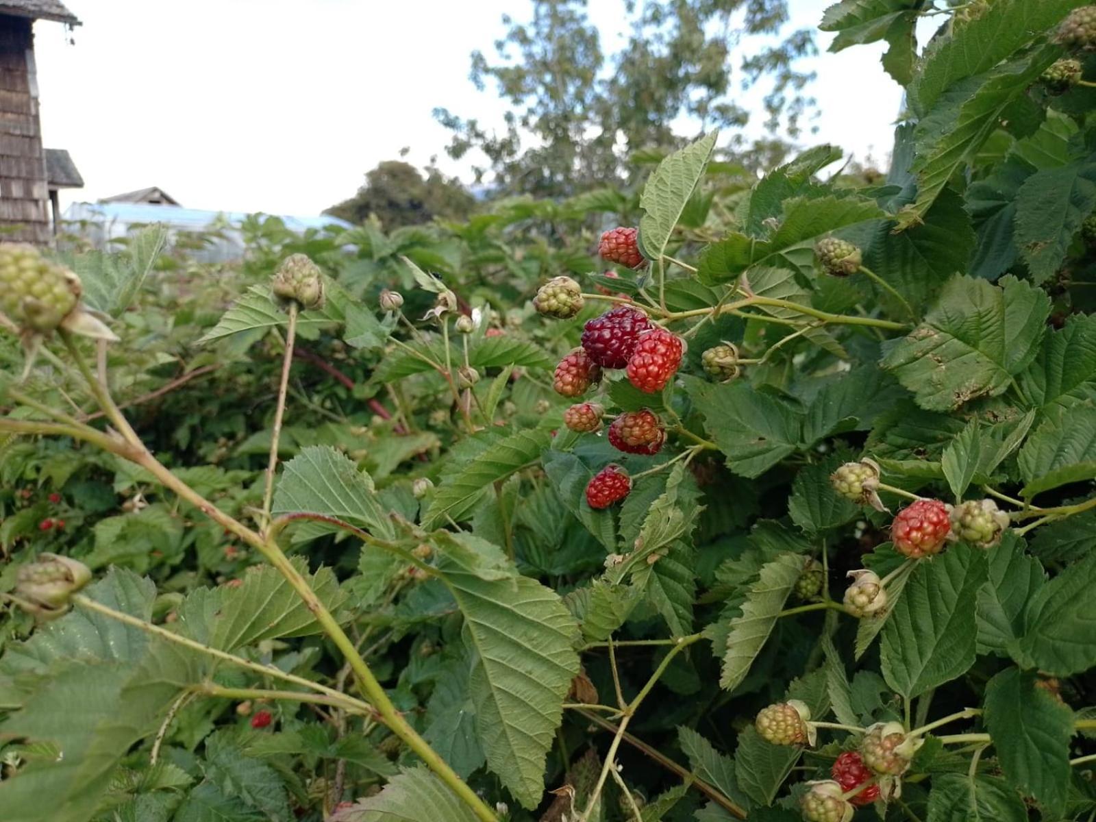 La Posada Del Colono Puerto Clocker Εξωτερικό φωτογραφία